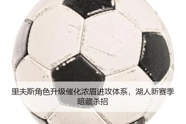 里夫斯角色升级催化浓眉进攻体系，湖人新赛季暗藏杀招