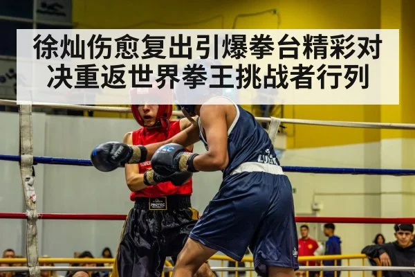 徐灿伤愈复出引爆拳台精彩对决重返世界拳王挑战者行列
