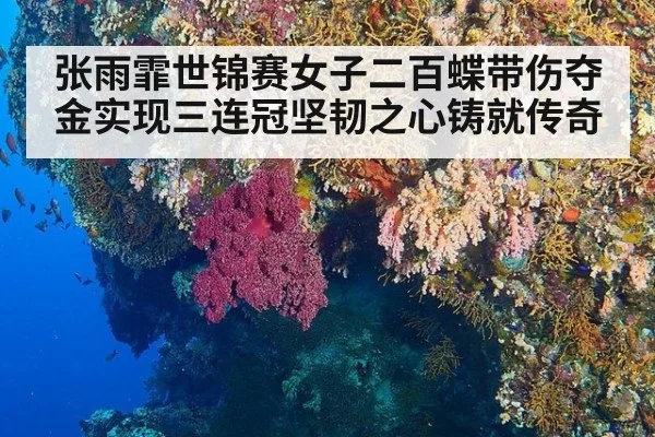 张雨霏世锦赛女子二百蝶带伤夺金实现三连冠坚韧之心铸就传奇